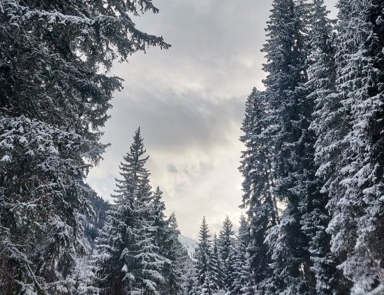 Das Verwall im Winter