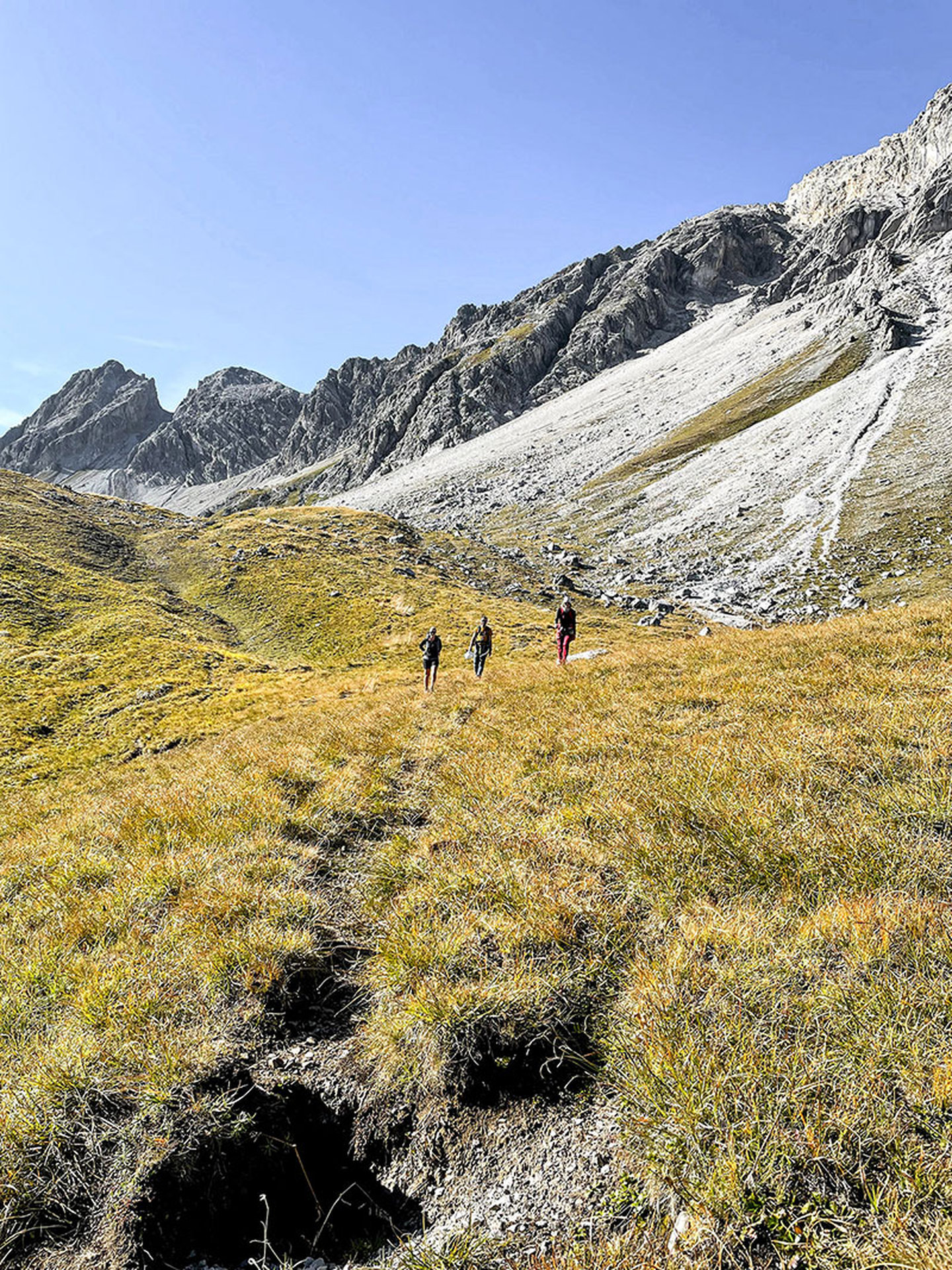 Drei Wanderer auf einer Almwiese unterwegs zu den Felsgipfeln am Arlberg