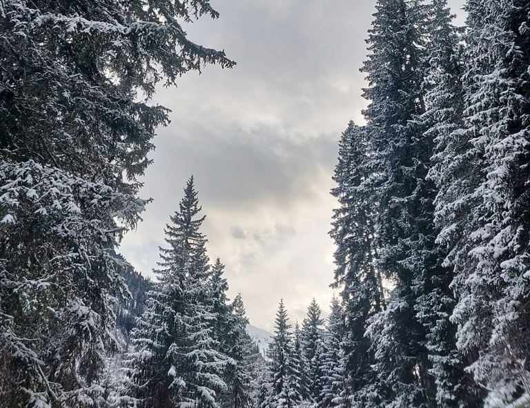 Das Verwall im Winter