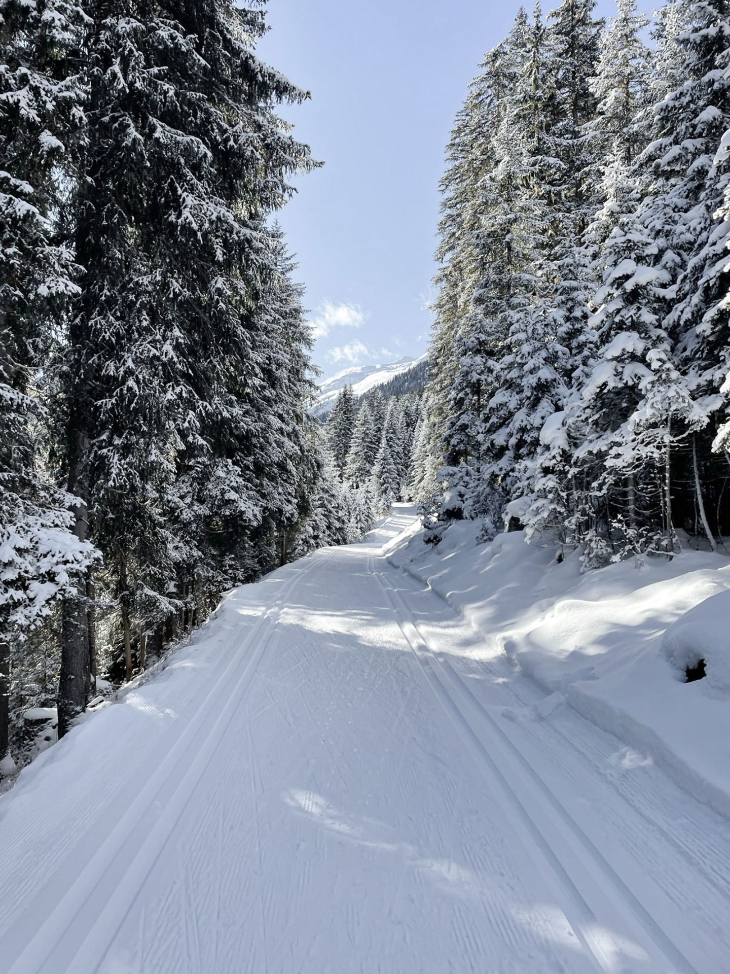 Groomed cross-country ski trail through the snowy winter forest on the Arlberg