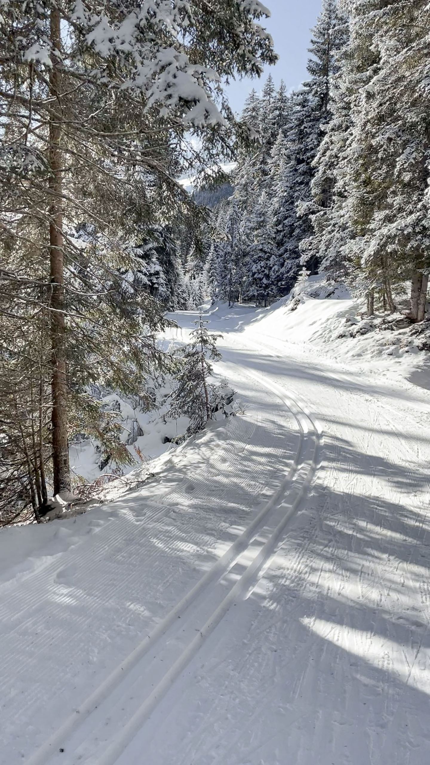 Cross-country trail with tracks through deep-snow forest on the Arlberg