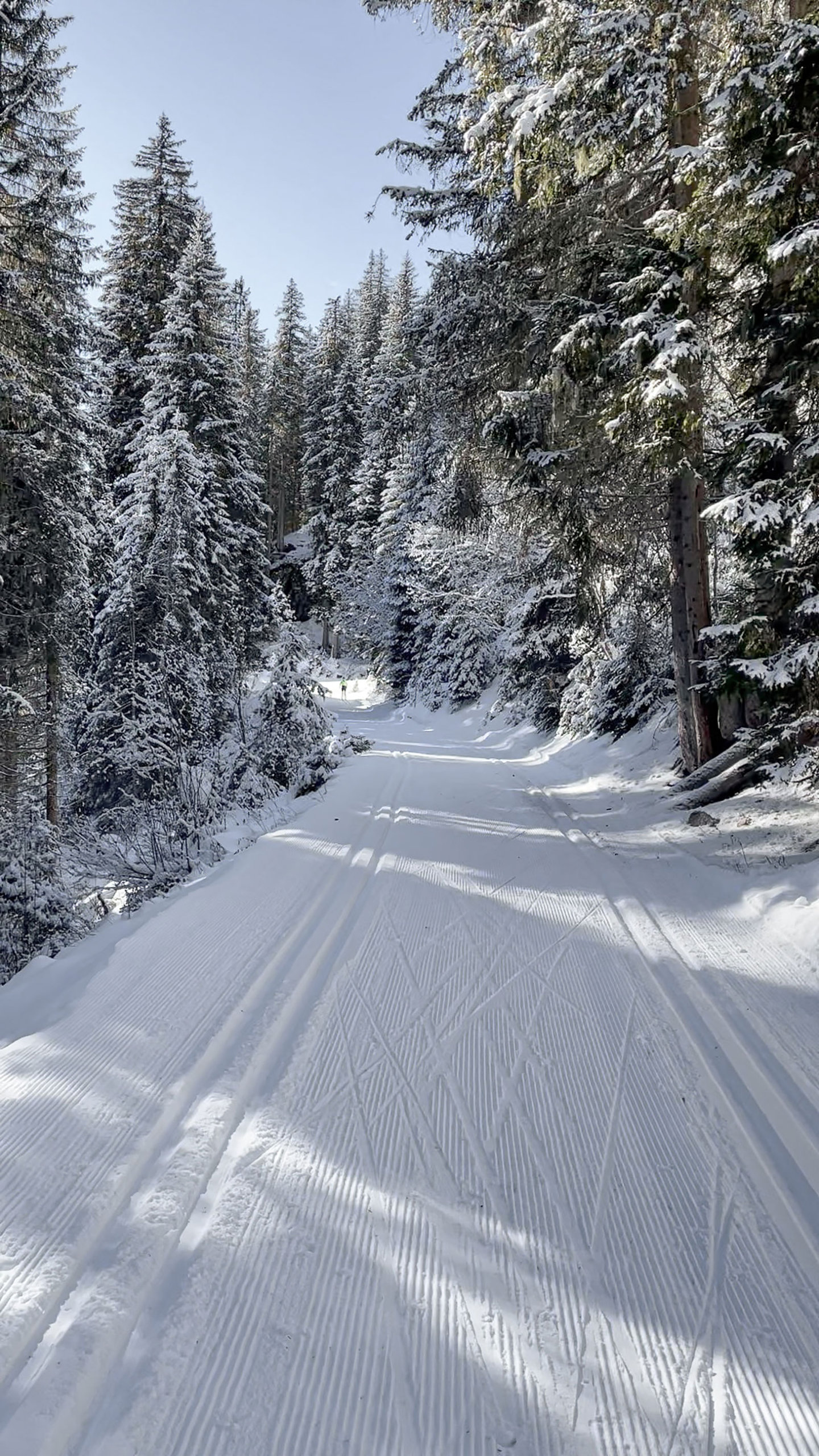 Classic groomed loipe through the winter forest under a blue sky on the Arlberg