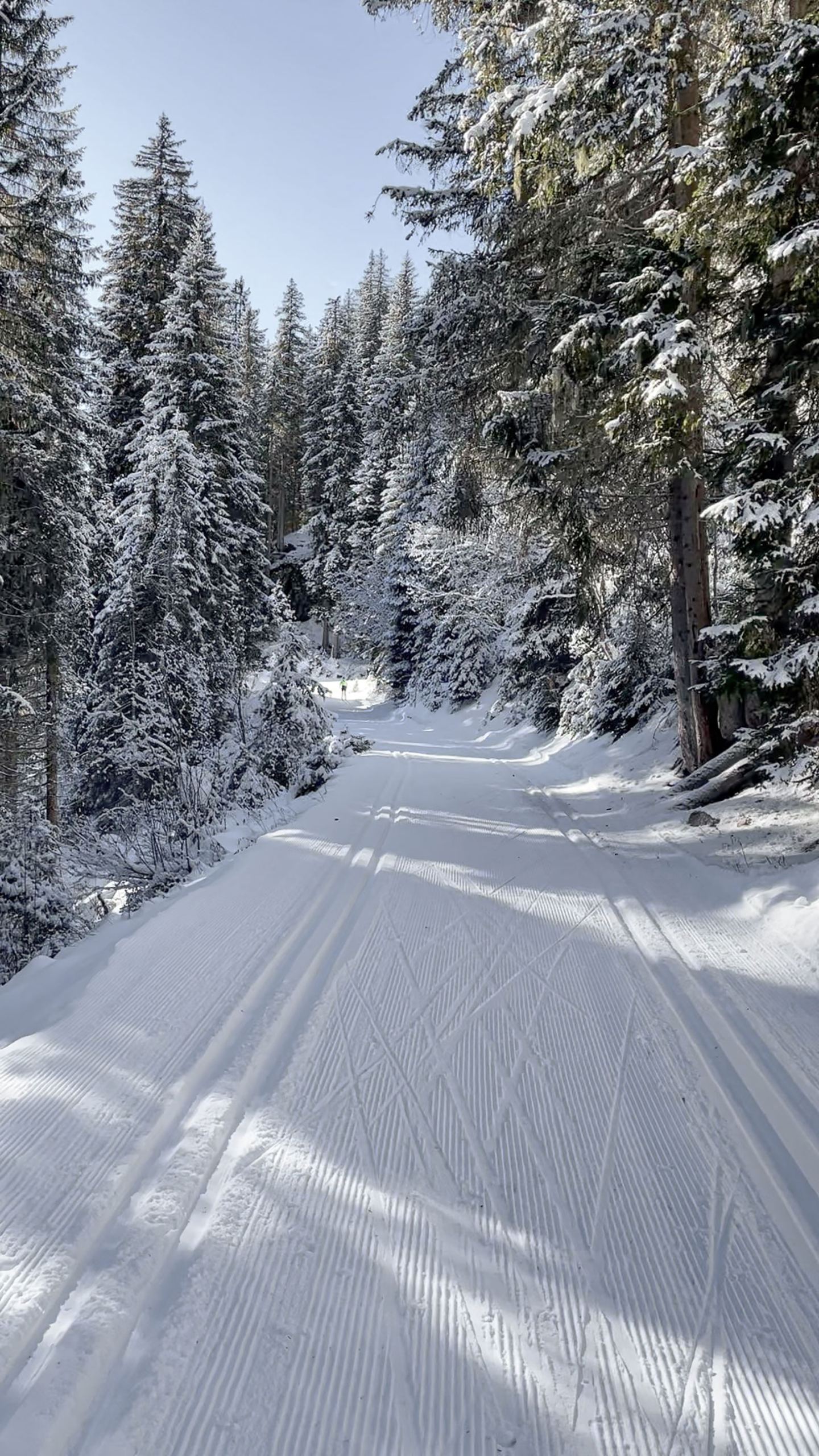 Classic groomed loipe through the winter forest under a blue sky on the Arlberg