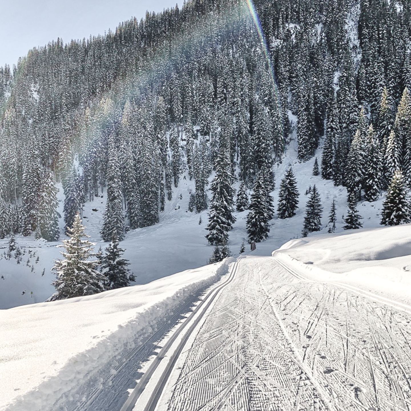 Cross-country trail along a snowy slope with forest on the Arlberg