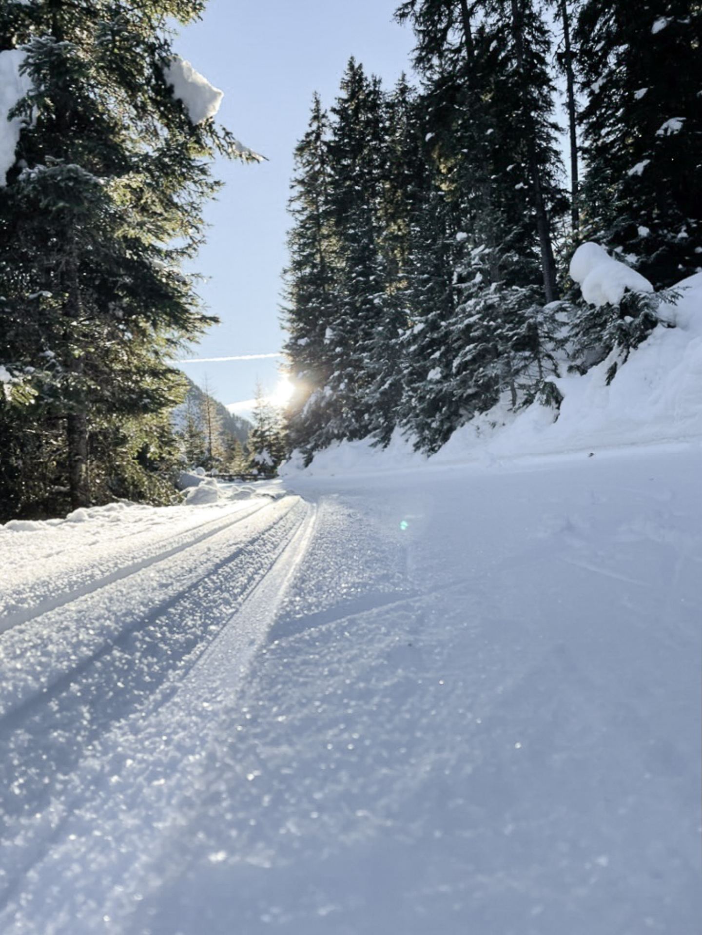 Cross-country trail in the winter forest backlit by the low sun on the Arlberg