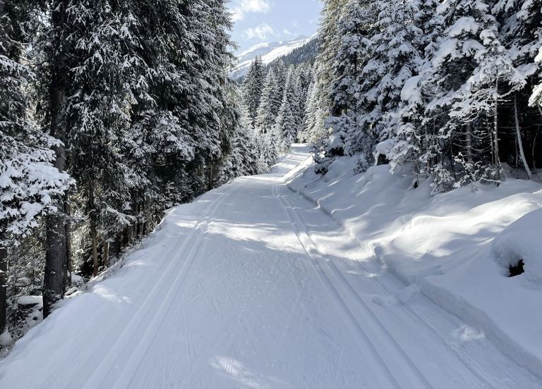 Cross-country skiing in the Verwall