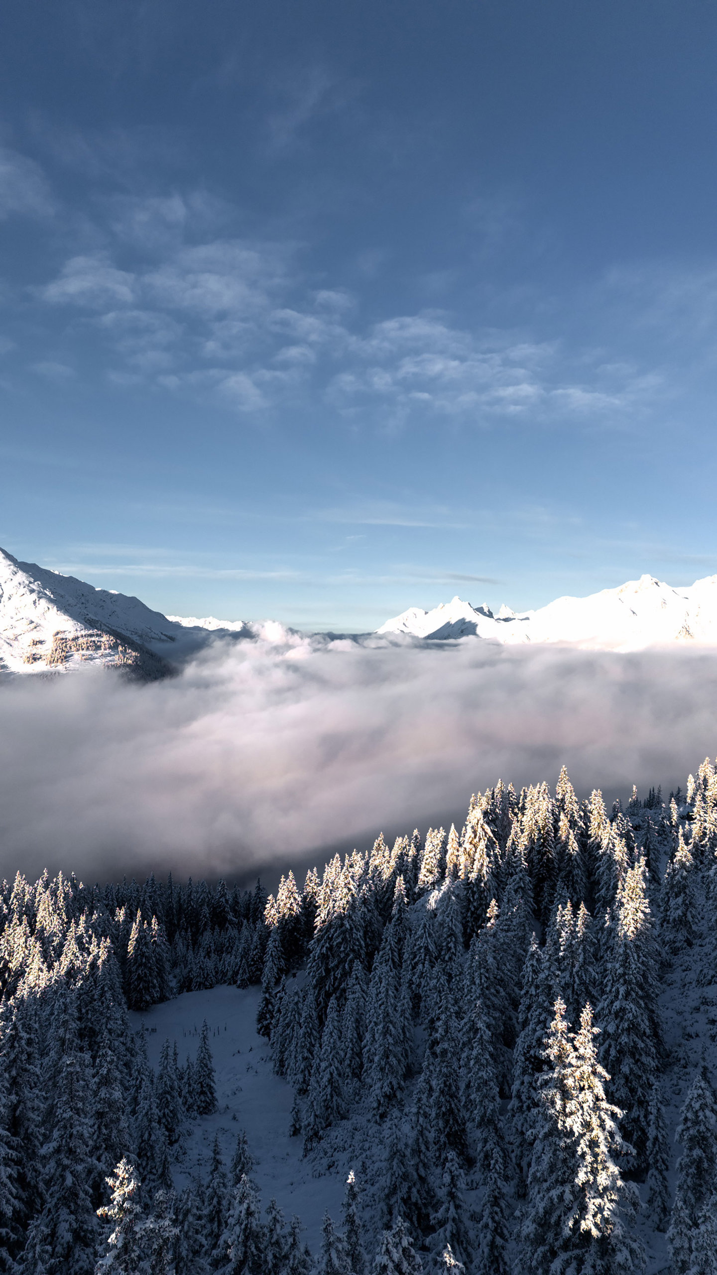 Drohnenaufnahme: verschneiter Wald über dem Nebelmeer mit Gipfeln im Winter am Arlberg