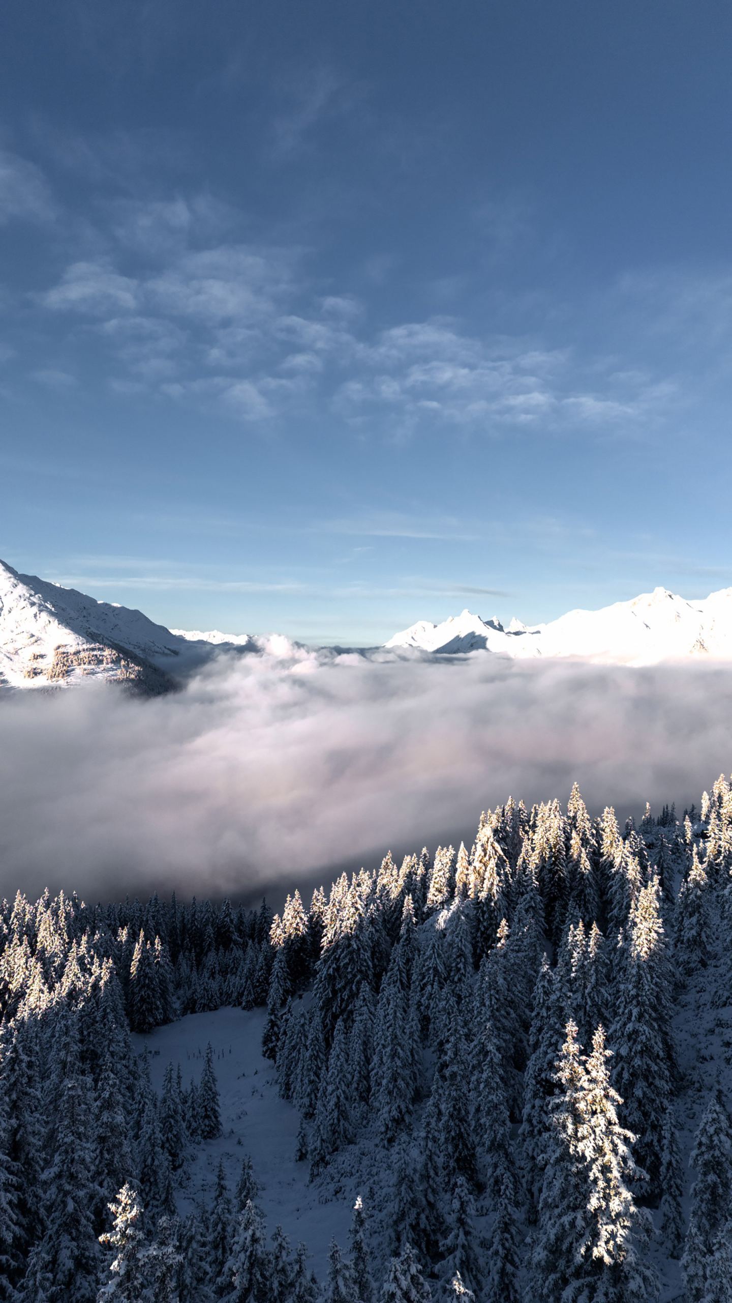 Drohnenaufnahme: verschneiter Wald über dem Nebelmeer mit Gipfeln im Winter am Arlberg