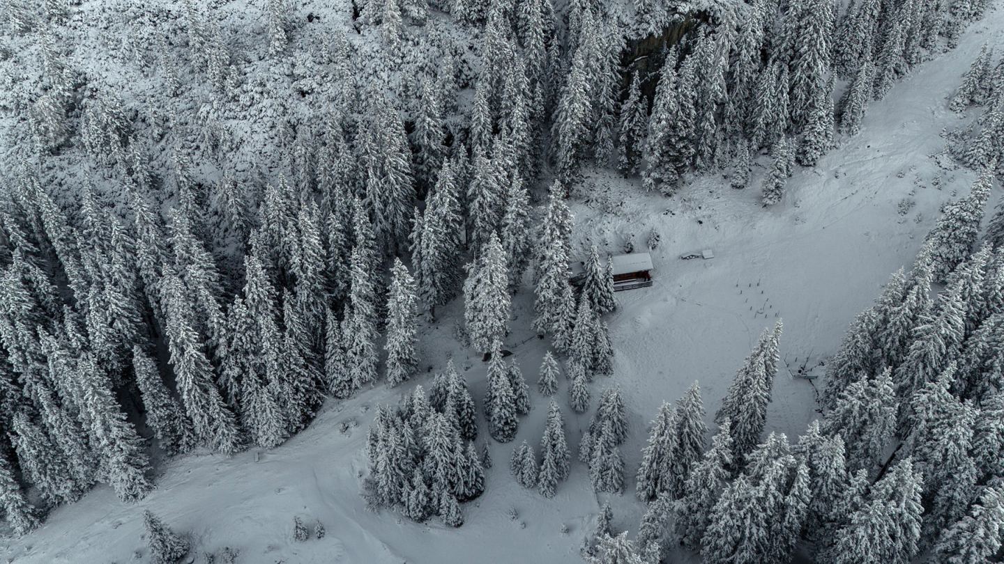 Drohnenaufnahme: kleine Hütte im tief verschneiten Fichtenwald von oben am Arlberg