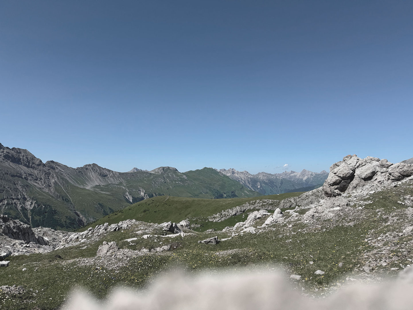 Almwiese mit Felsbrocken und Bergpanorama im Sommer am Arlberg