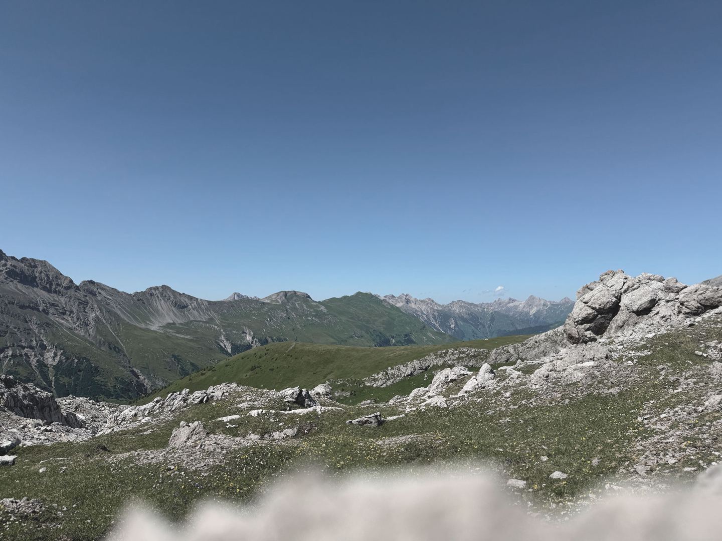 Almwiese mit Felsbrocken und Bergpanorama im Sommer am Arlberg