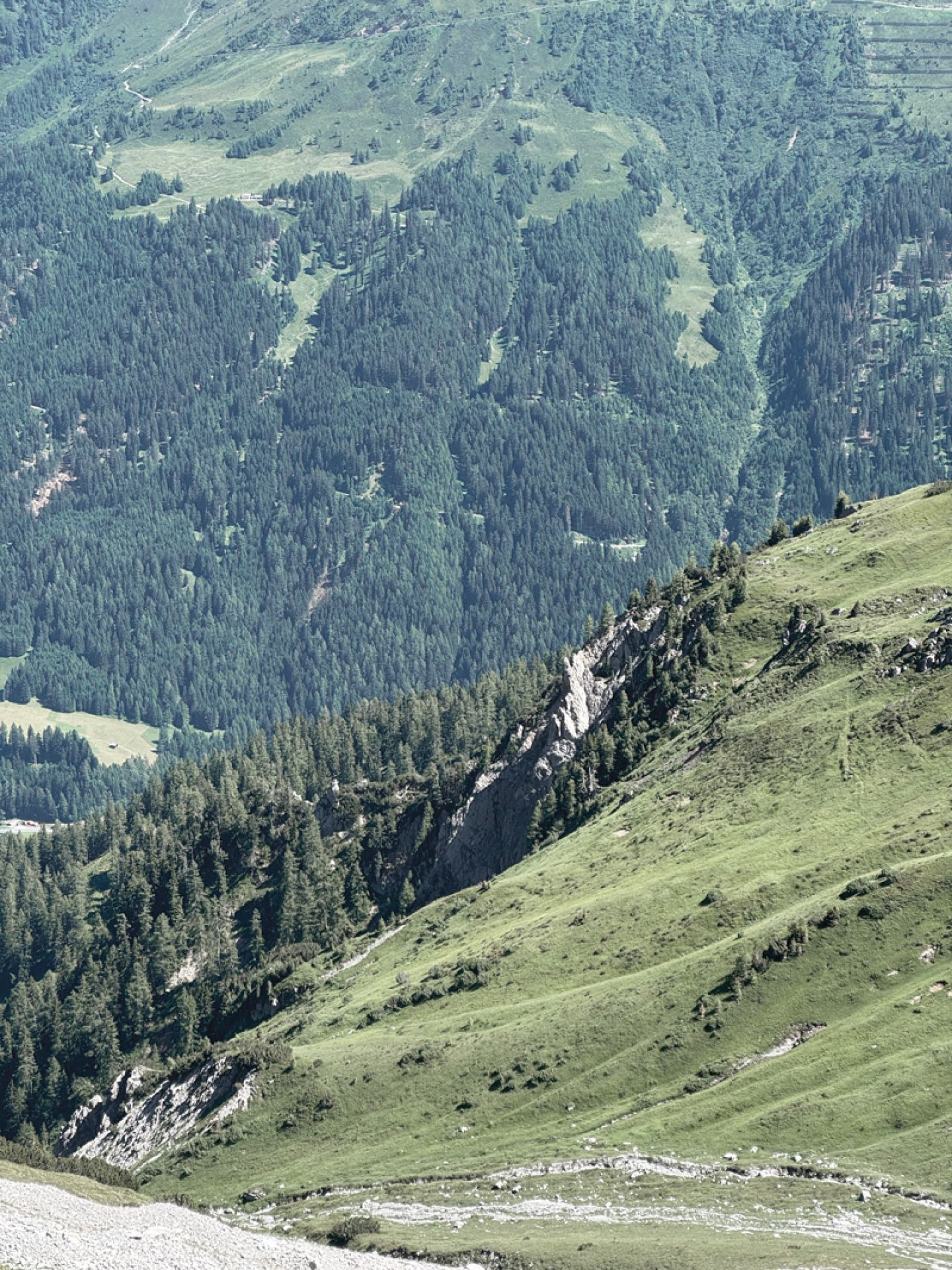 Steiler grüner und bewaldeter Berghang im Sommer am Arlberg
