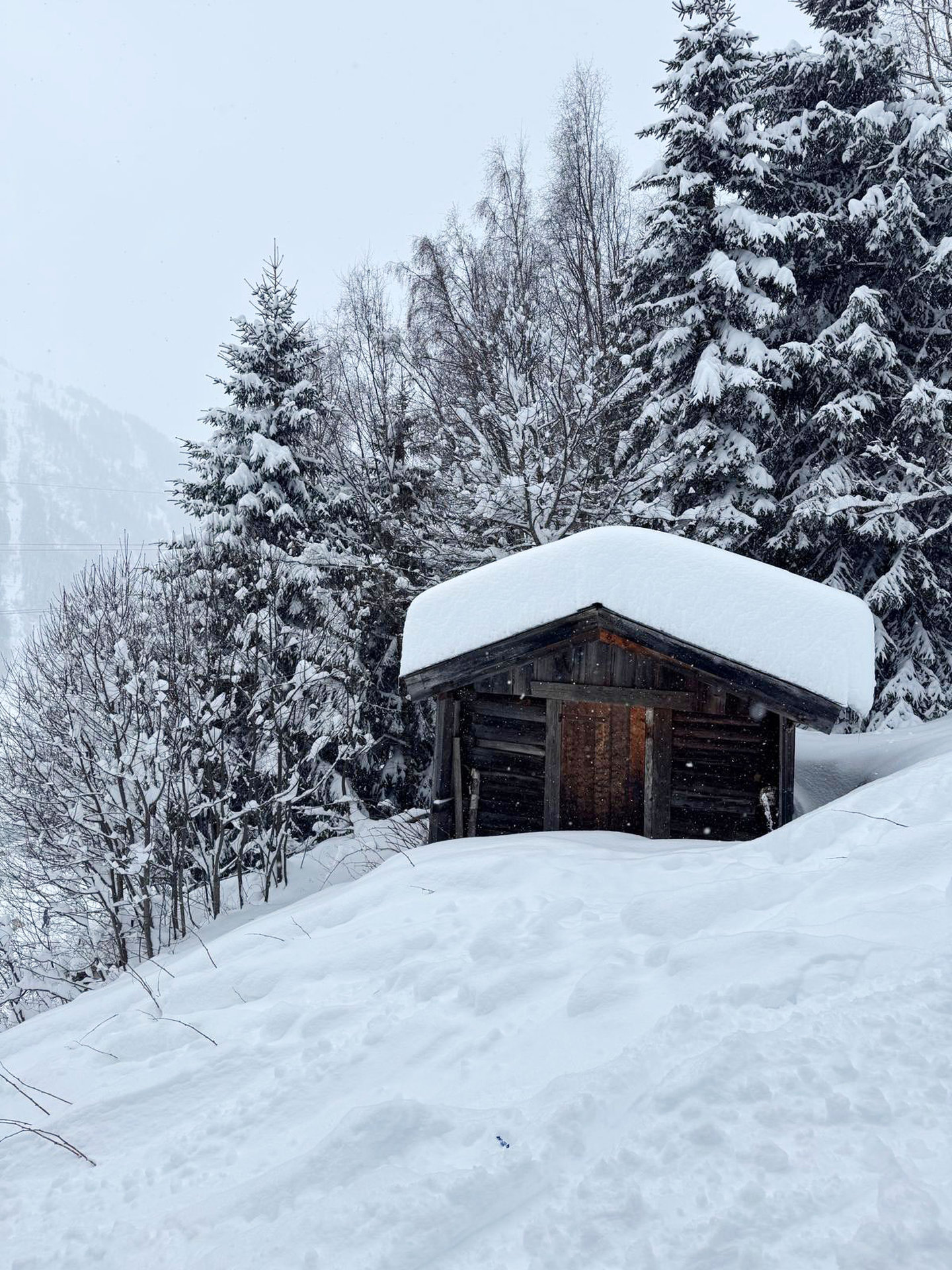 Verschneiter Holzstadel an einem Hang zwischen Bäumen im Schneefall am Arlberg