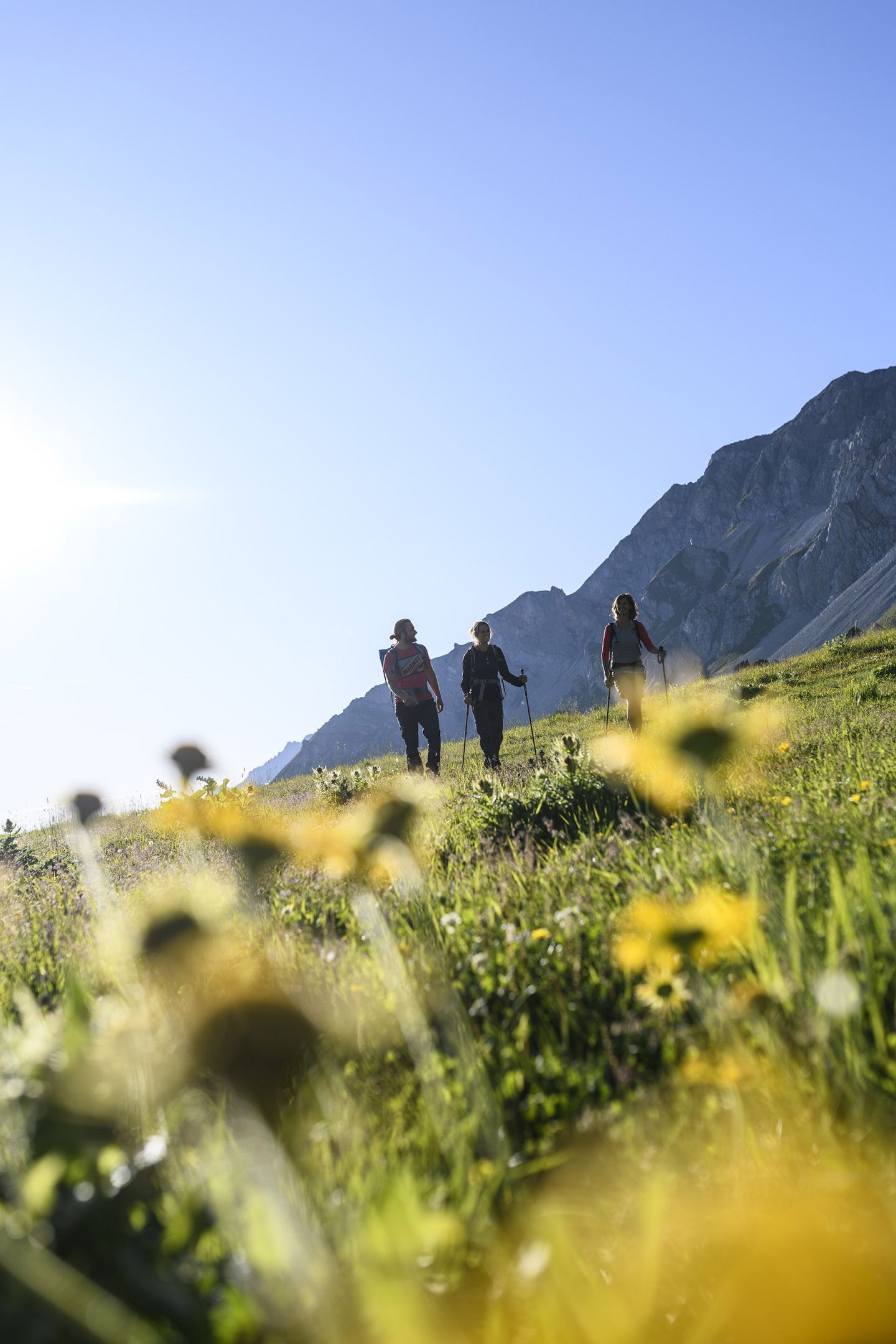 Drei Wanderer auf einer Almwiese mit gelben Blumen im Sommer am Arlberg