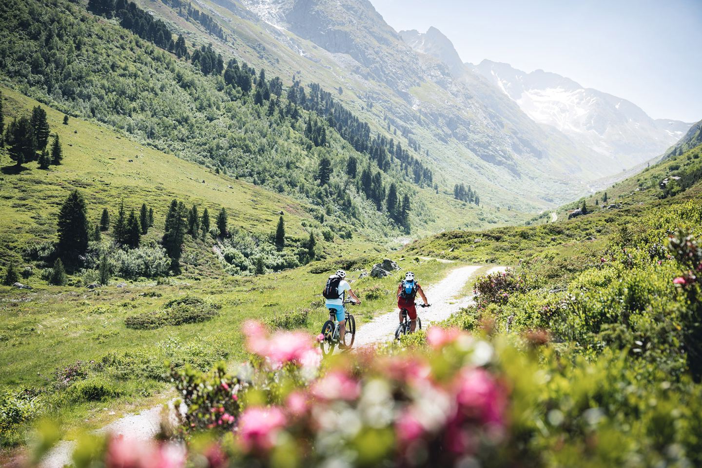 Zwei Mountainbiker im grünen Fasultal mit Almrosen im Vordergrund am Arlberg