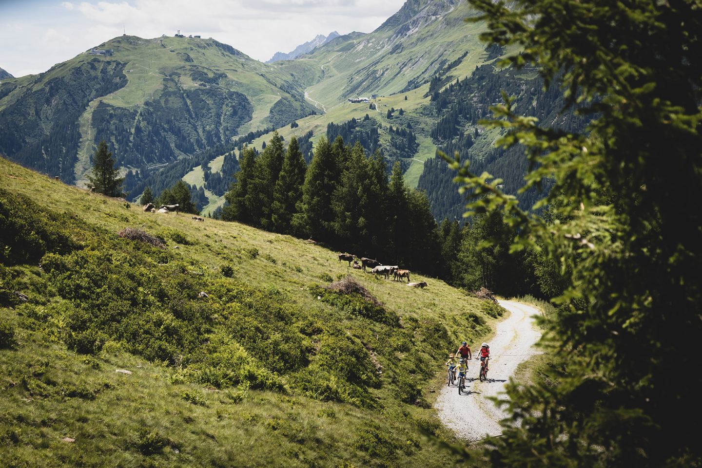 Hütten und Almen mit dem Bike und E-Bike